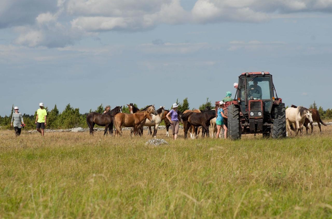 Conservation holiday Conservation Holidays with Estonian Fund for Nature